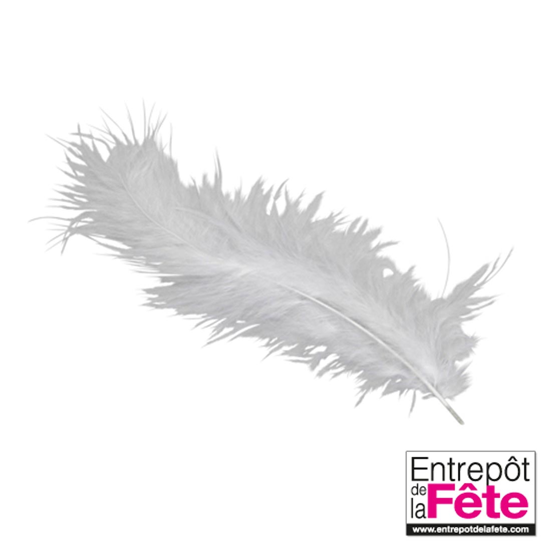 Ailes d'anges avec plumes crème - L'Entrepôt de la Fête